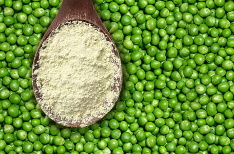 Behind the Scenes with our Pea Protein