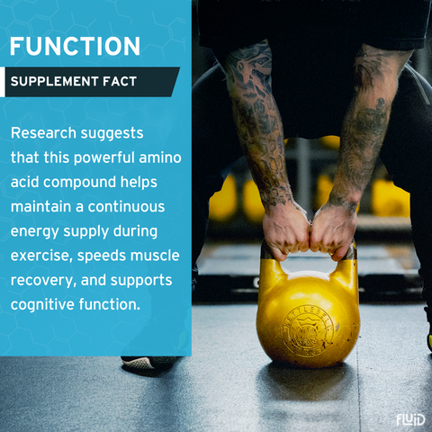 100% Creatine Monohydrate