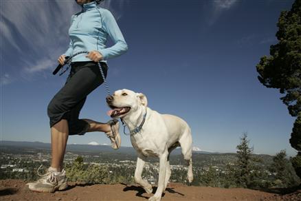 Top 5 Reasons To Take Your Dog Running
